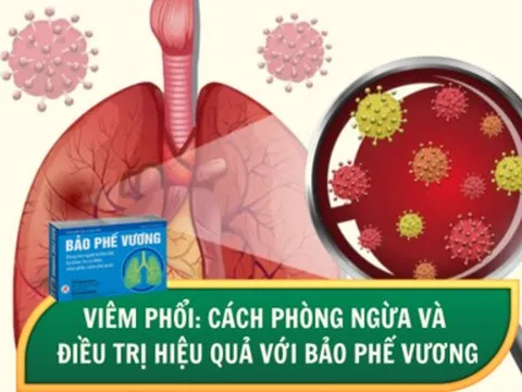 Viêm phổi: Cách phòng ngừa và điều trị hiệu quả với Bảo Phế Vương