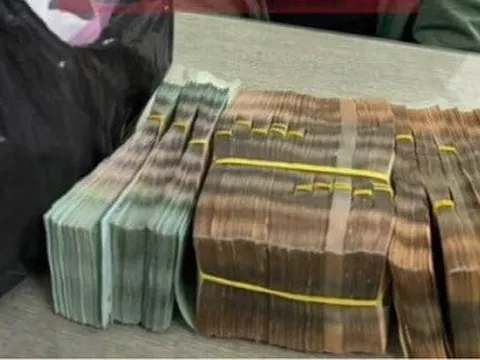 Tạm giữ cô gái trẻ trộm gần 500 triệu đồng của bố chồng