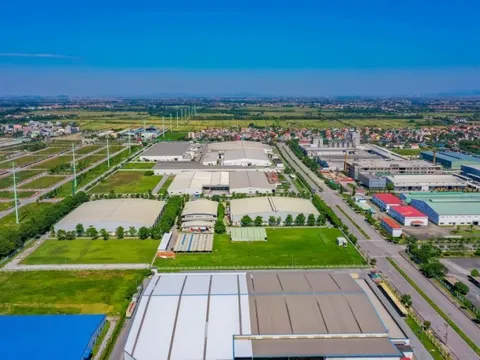 ROX Key Holdings bổ nhiệm Tổng Giám đốc mới