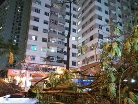 Dự báo tình hình dông lốc, mưa to cục bộ trên phạm vi cả nước trong 10 ngày tới