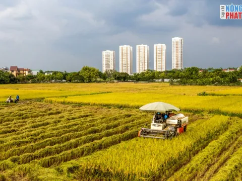 Triển lãm ảnh "Một thoáng Nông thôn mới Hà Nội" tại Thành phố Sáng tạo Mailand Hà Nội City thành công rực rỡ!
