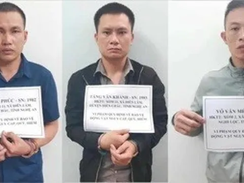 Hổ nặng hơn 200 kg trên ôtô