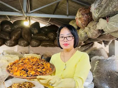 Nhà thuốc Nam gia truyền Nguyễn Thái và  bài thuốc Cao Đại Tràng